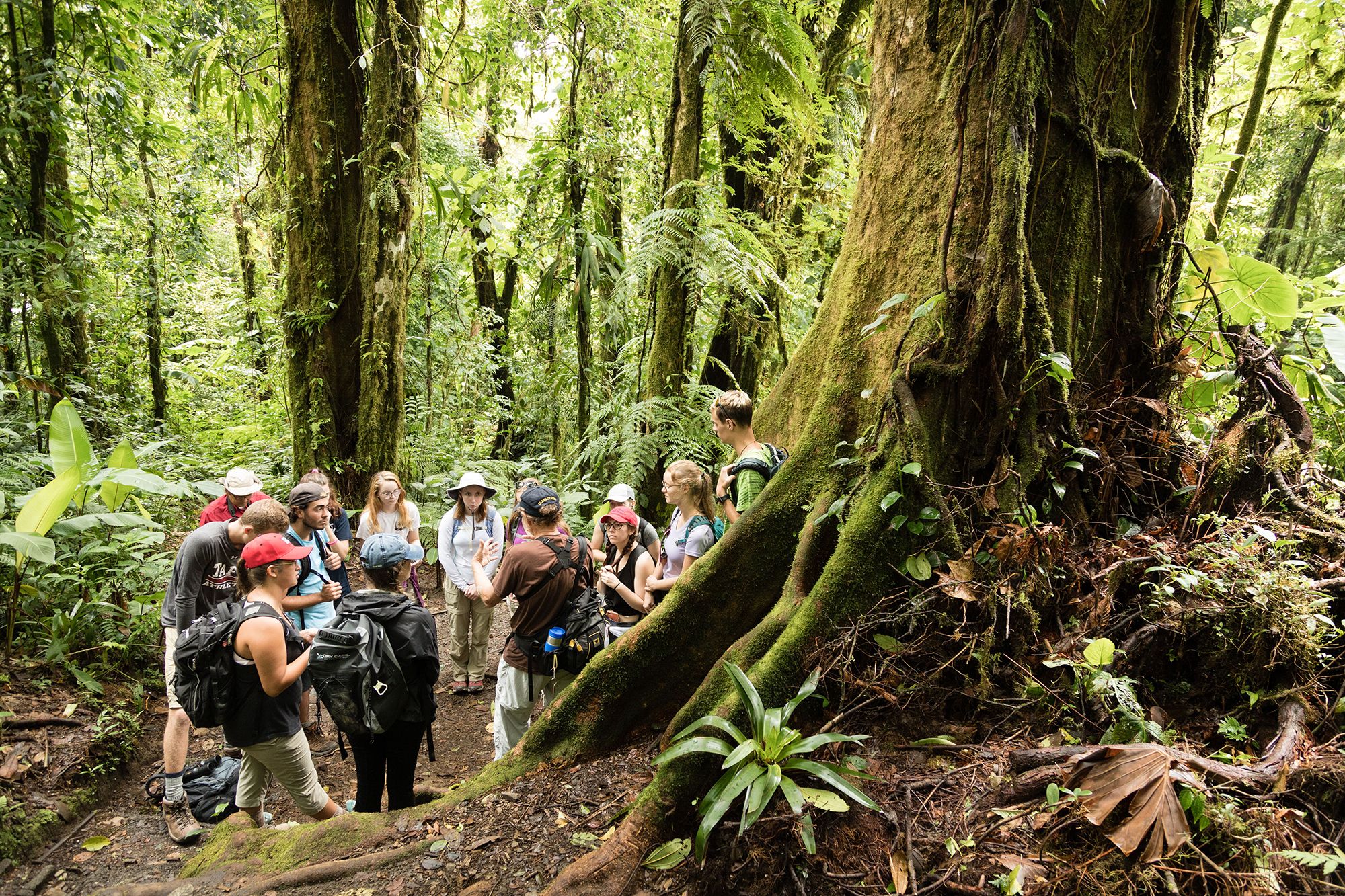 Students gather around for a discussion about conservation in a Costa Rican rainforest.