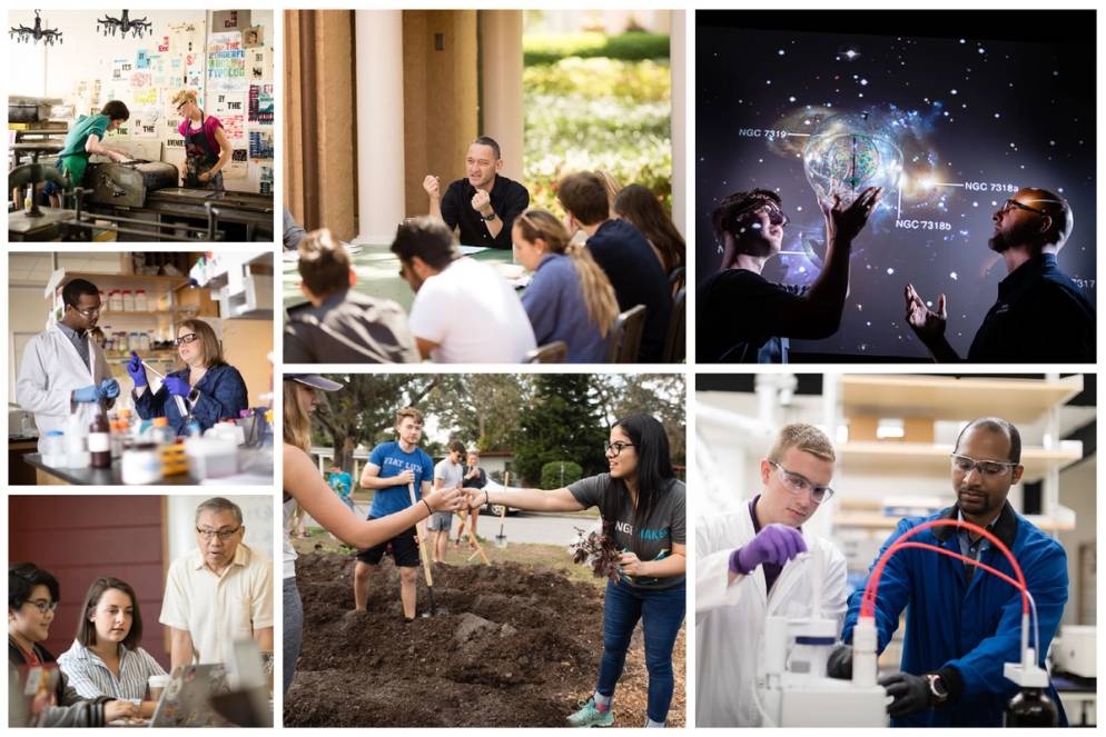 Grid of images of student and faculty partnering on everything from lab experiments to fieldwork.