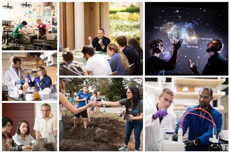 Grid of images of student and faculty partnering on everything from lab experiments to fieldwork.