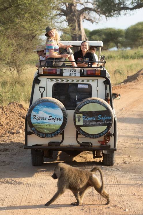 Rollins students on a safari in Tanzania