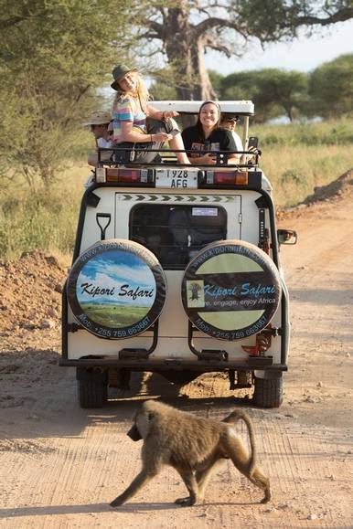 College students riding in the back of a truck during a safari while studying abroad.