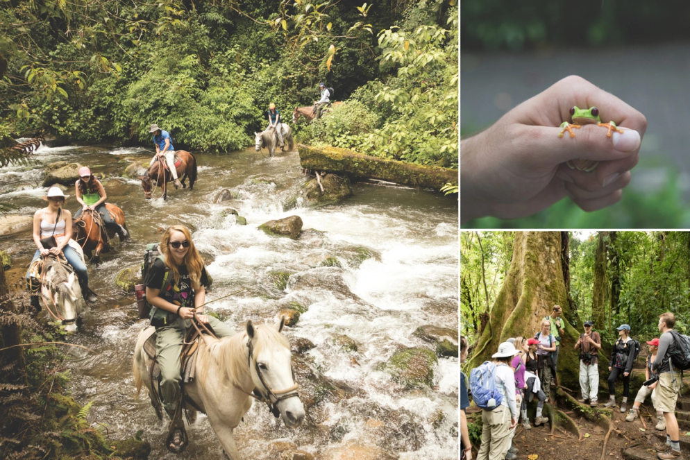 A grid of images from field study to Costa Rica