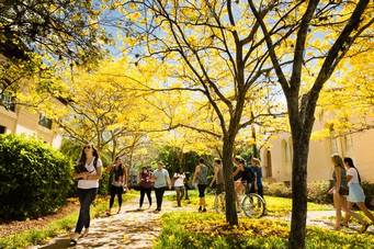 Rollins students walking to class.