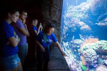 Students explore fish species in an aquarium at SeaWorld.