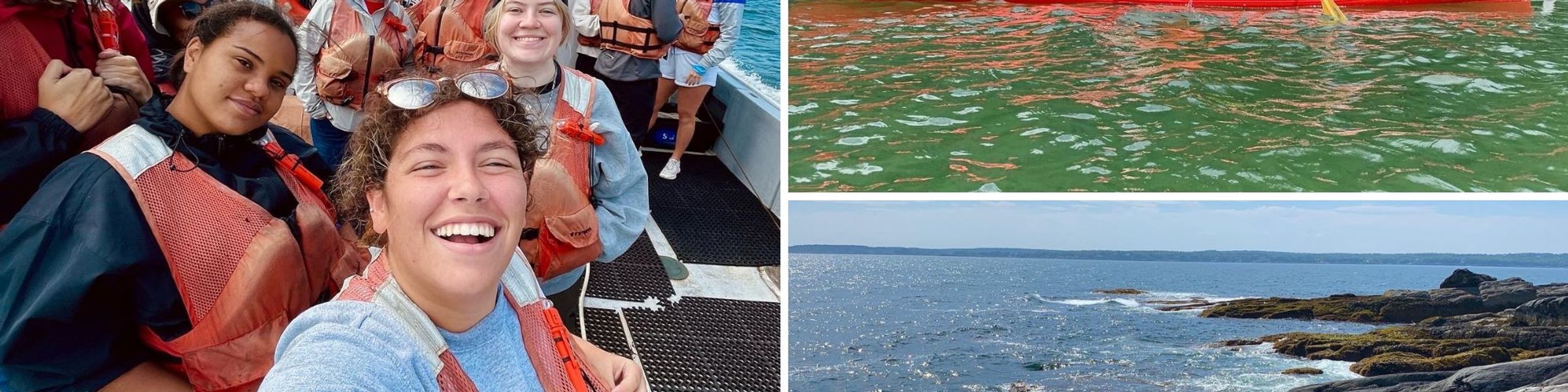 A collection of photos from Rollins’ marine biology laboratory in Maine.