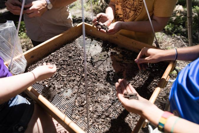 A close up of students picking through artifacts found in the sifter.