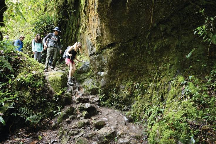 Students hiking through the rainforest on a field study to Costa Rica.