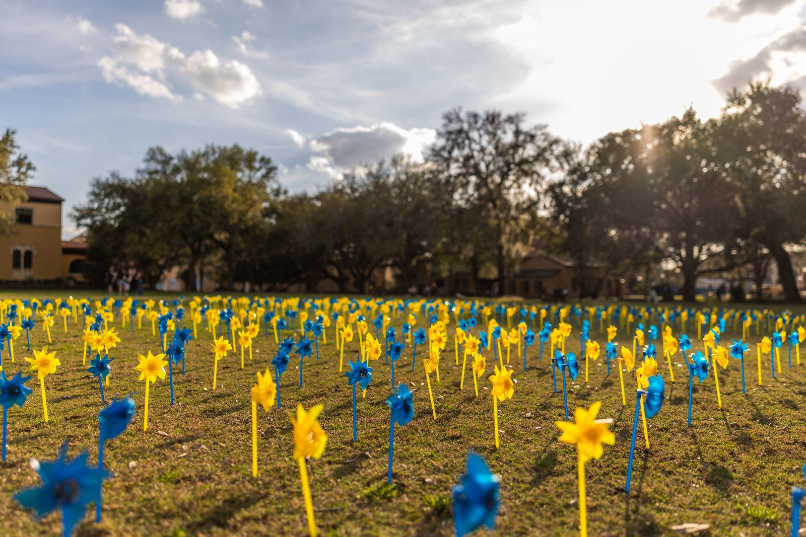 A chalkboard outside with the title I Love Rollins Because