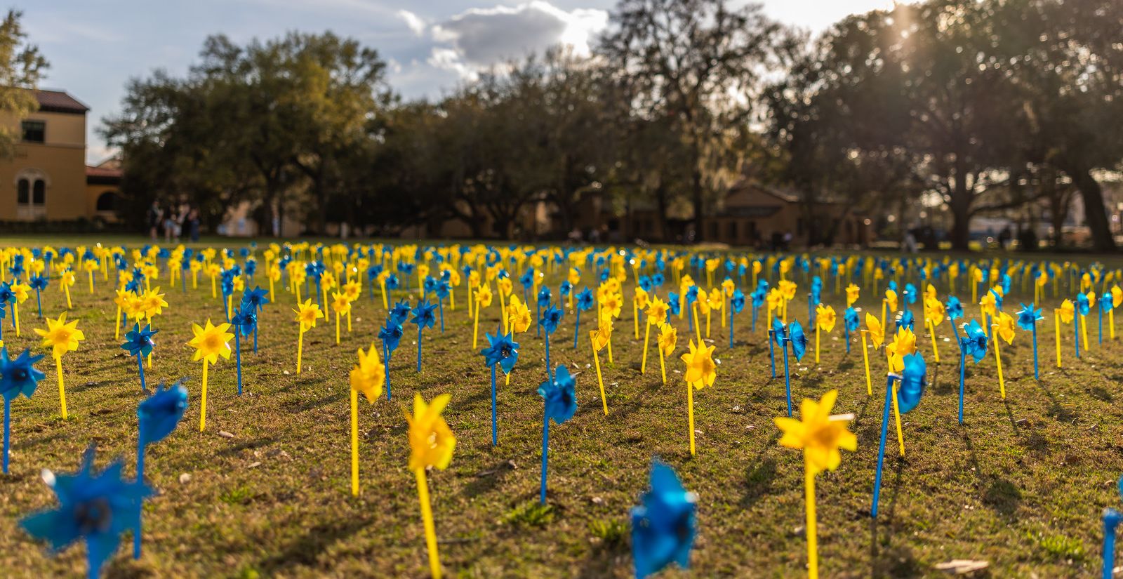 A chalkboard outside with the title I Love Rollins Because