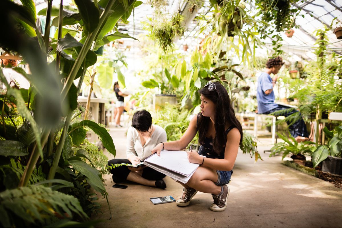 A student draws a still life in the Rollins greenhouse.