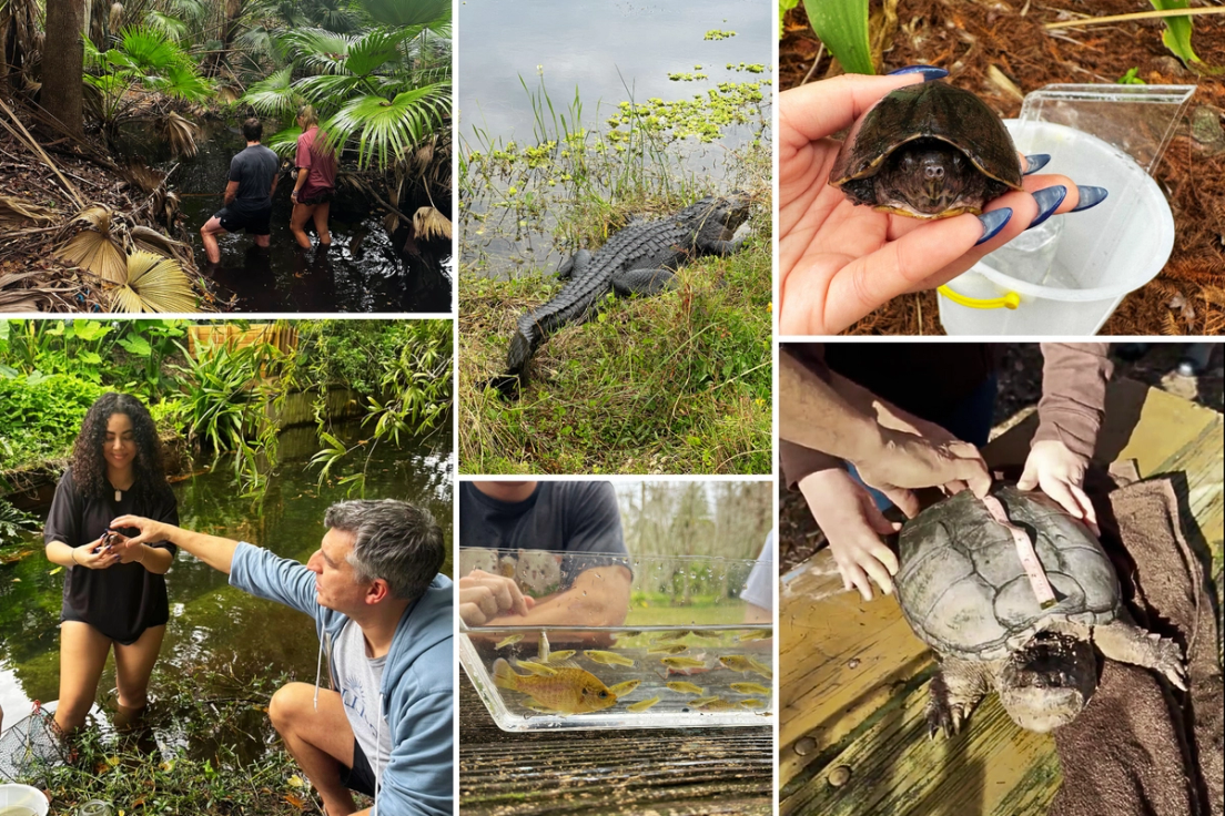 Animal Conservation intersession class in the field