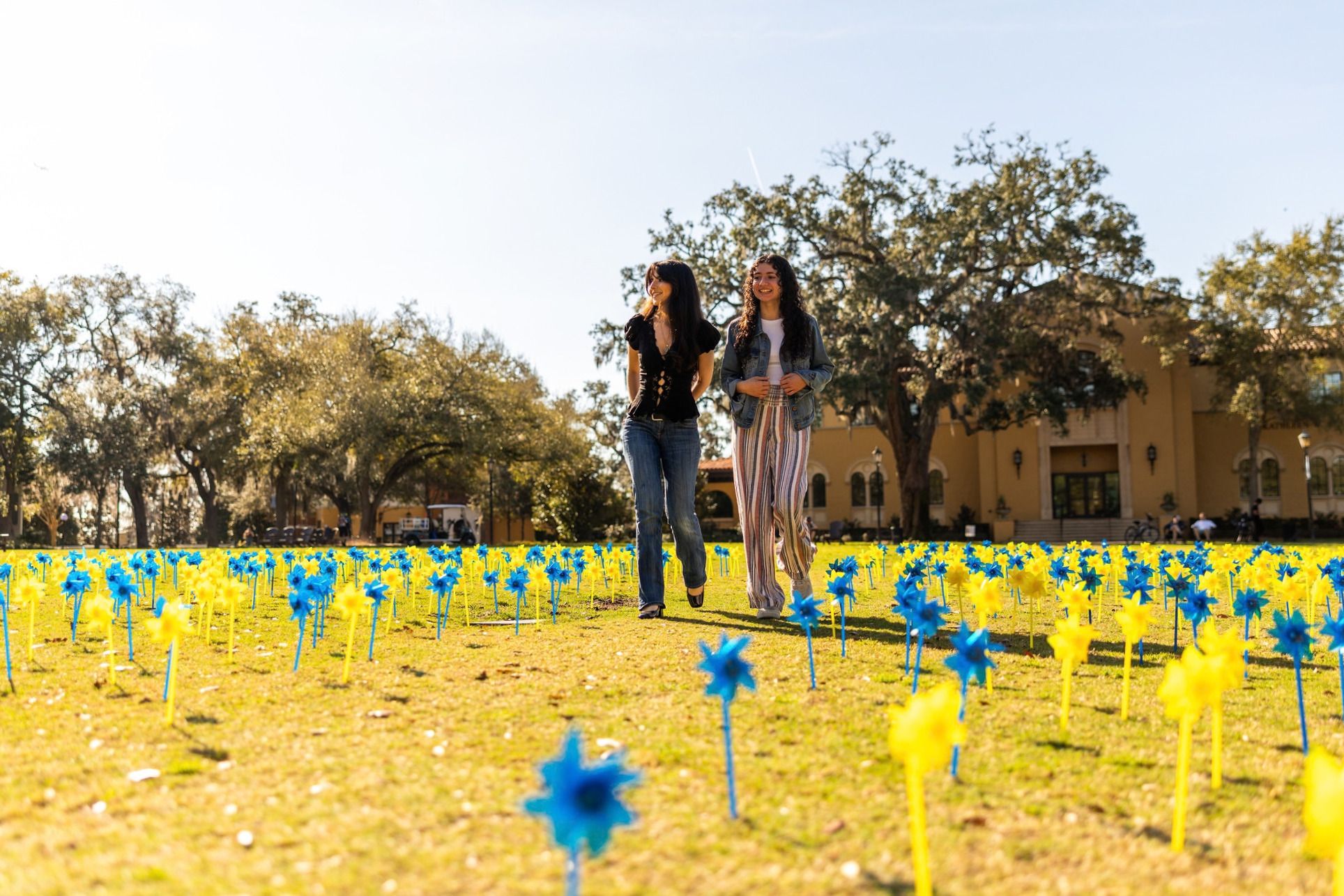 Students walking through a field of blue and yellow pinwheels.