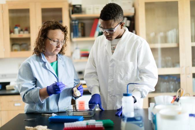 Professor and student collaborate on marine biology research at Rollins College.