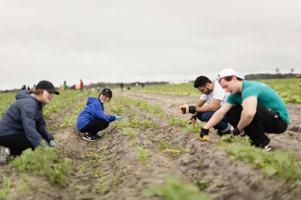 Immersion experience at Zellwood farm in Apopka, Florida.