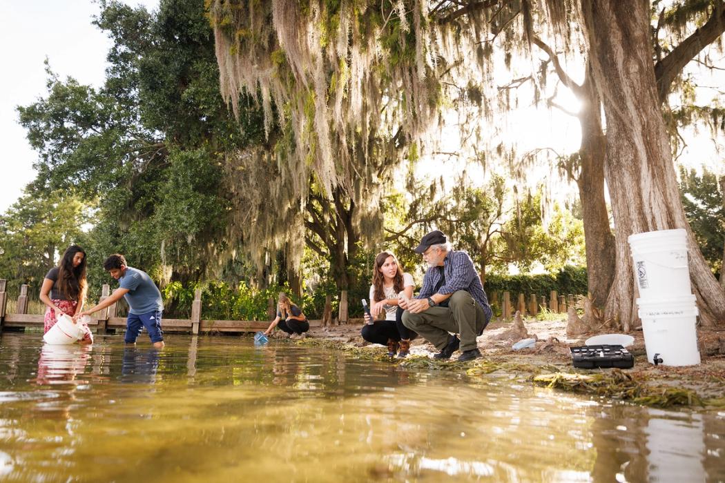 Rollins environmental studies professor and students test water quality at Lake Virginia