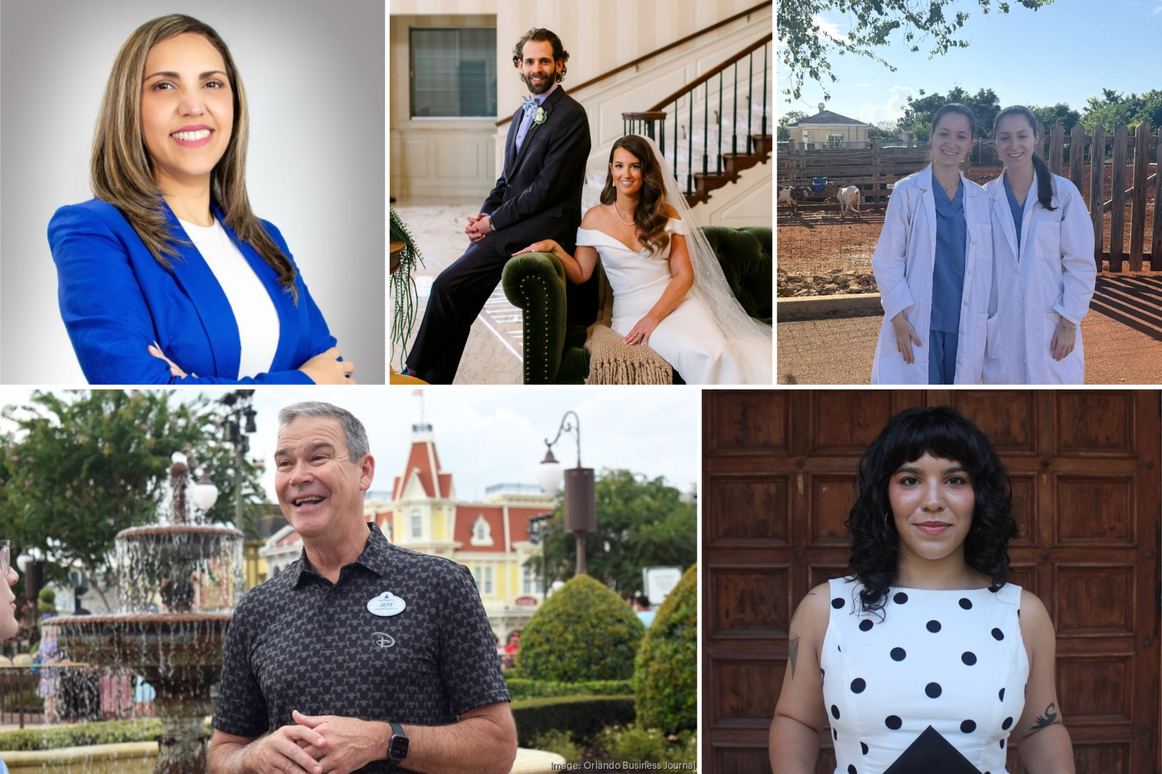 A grid of Rollins alumni.