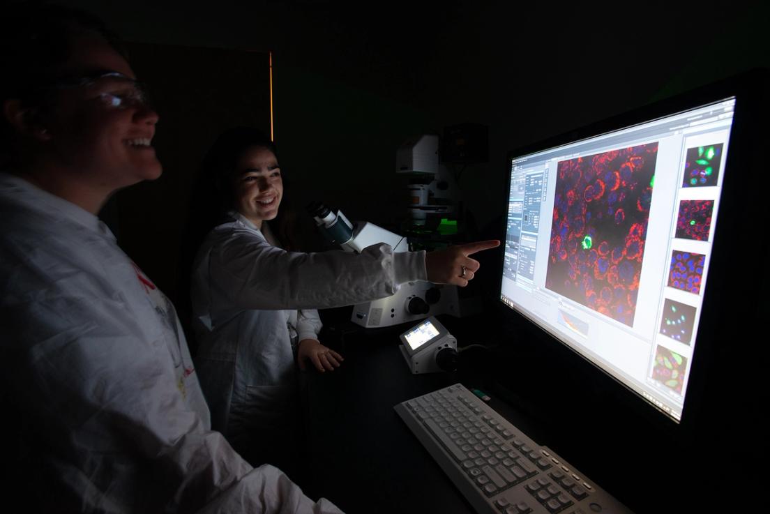 Students looking at cell structure on a computer monitor.