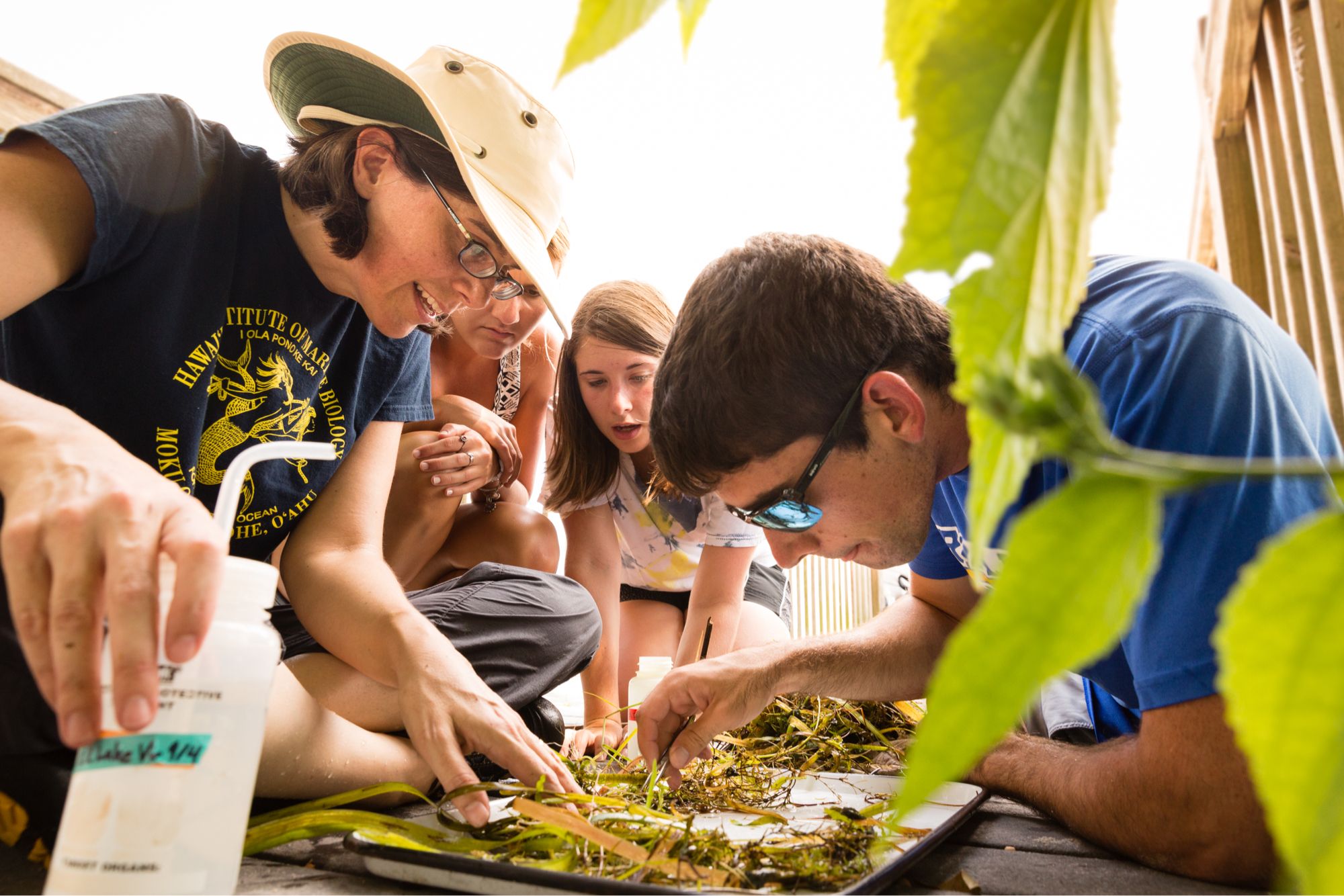 A professor and students examine lake vegetation.