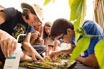 Field Botany and Florida Ecosystems