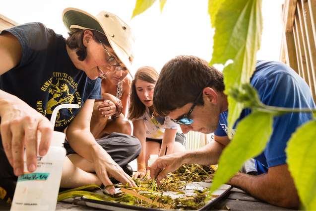 Ecology college students looking at plant materials they collected in Lake Virgina with their professor and mentor.