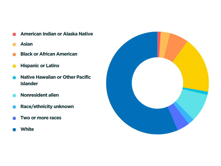 A pie chart depicting retention rates by race/ethnicity at Rollins.