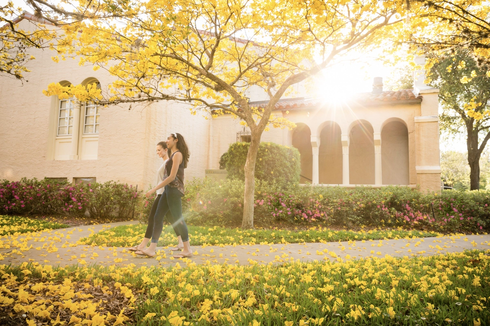 Take a Virtual Tour of Rollins College