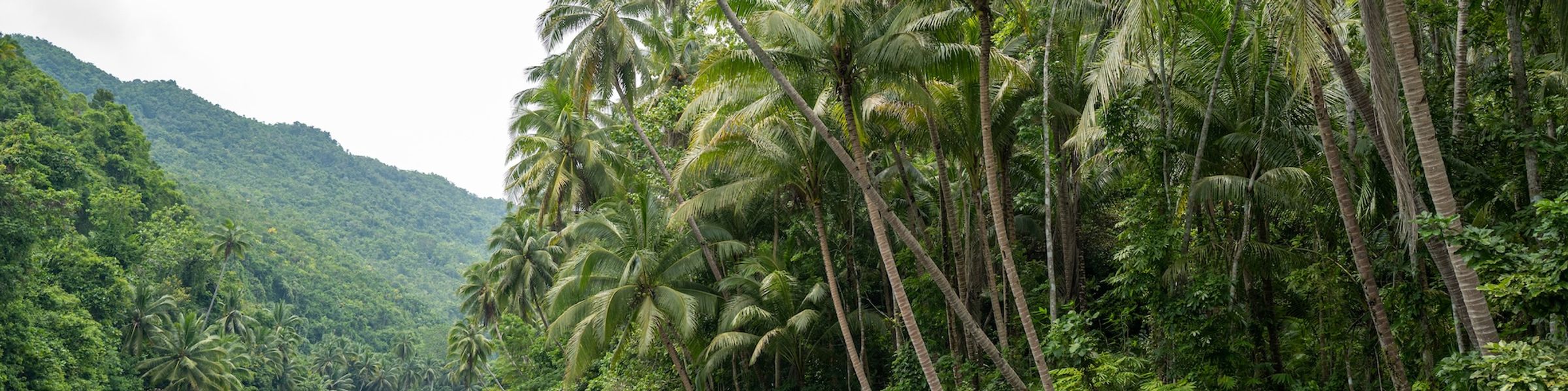 Bohol Island in the Philippines.