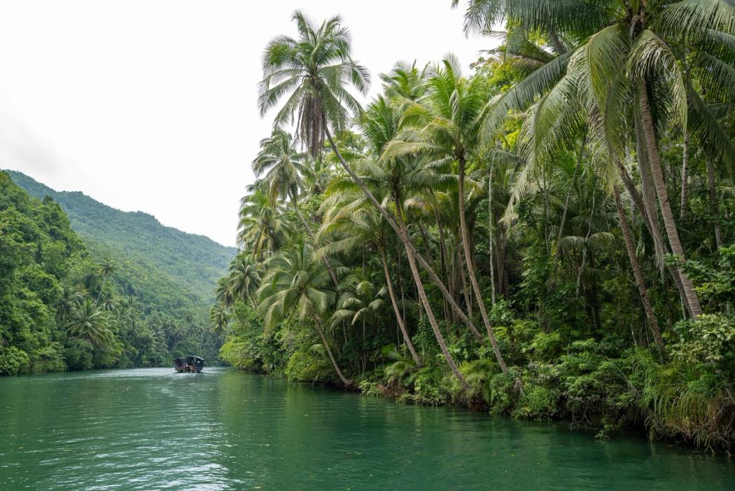 Bohol Island in the Philippines.