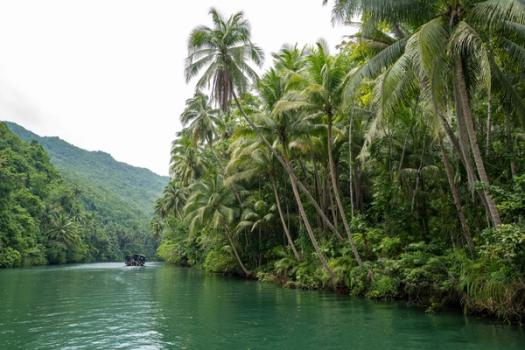 Bohol Island in the Philippines.