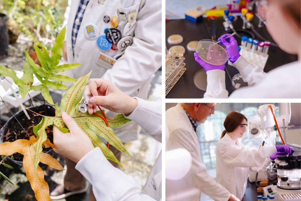 Sylvie Reveley ’28 and biology professor Paul Stephenson examine plants, culture samples, and conduct laboratory experiments.