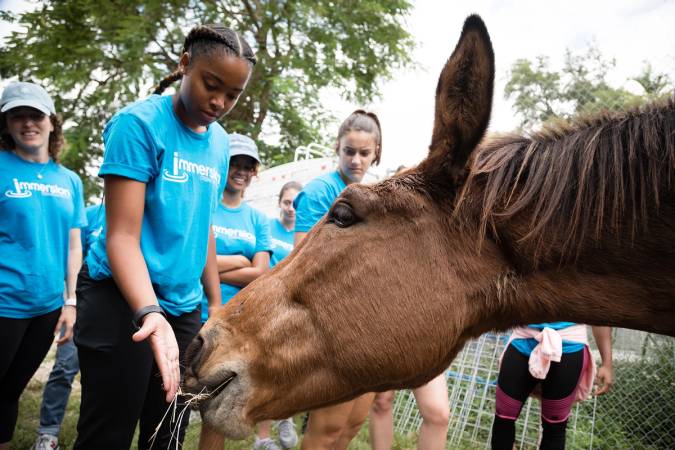 Student feeds a horse in the Everglades on an Immersion experience.