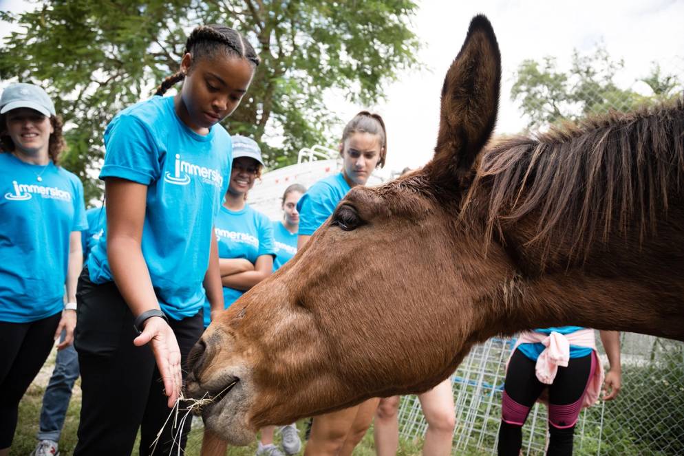 Student on the Everglades Immersion meet a friendly horse. 