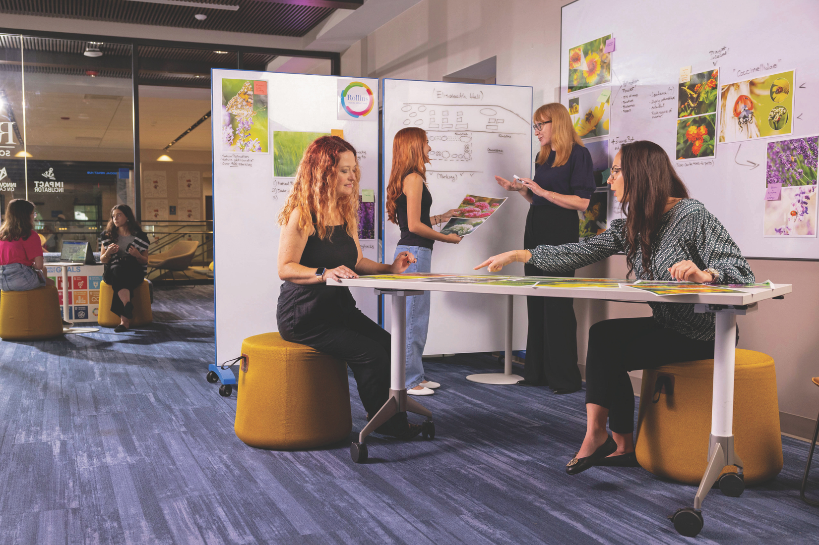 Rollins students and professors working together in the Social Impact Hub.