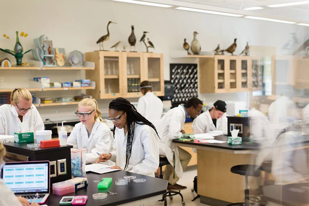 Students perform lab work