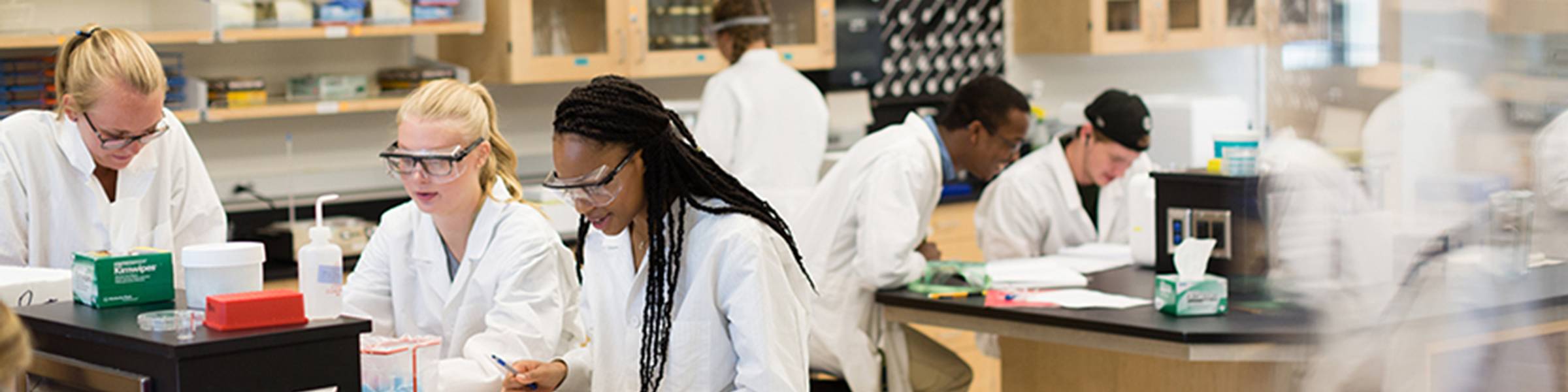 In a Rollins science lab, students are split into groups to complete a lab project.