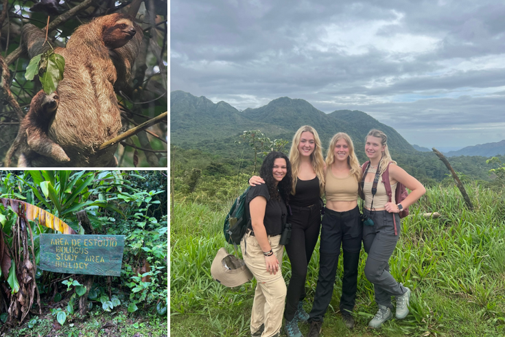 Students on a field study in Panama.