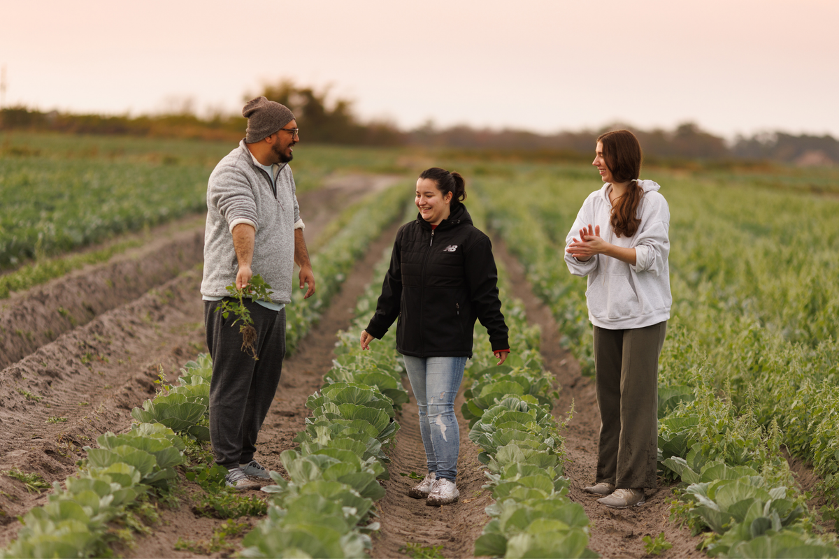 A professor and students engage in service work at a farm in Apopka.