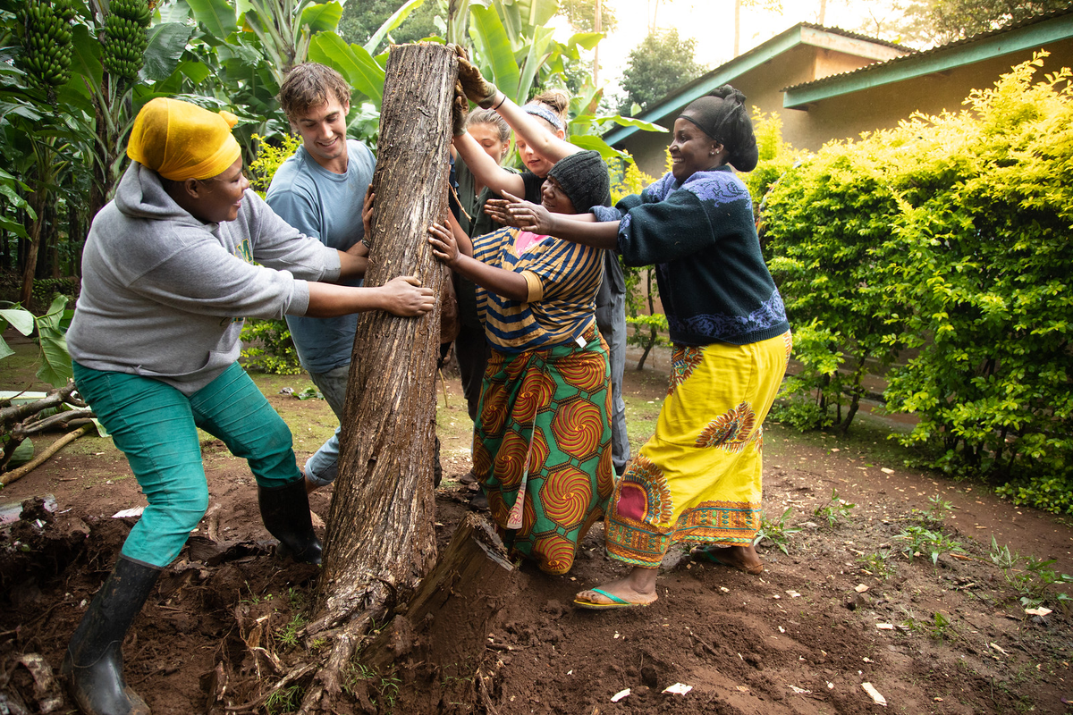 Students working with villagers to remove a tree stump in Tanzania on the future site of an eco-lodge.
