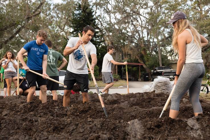 Students transforming a residential lawn into an organic micro-farm.