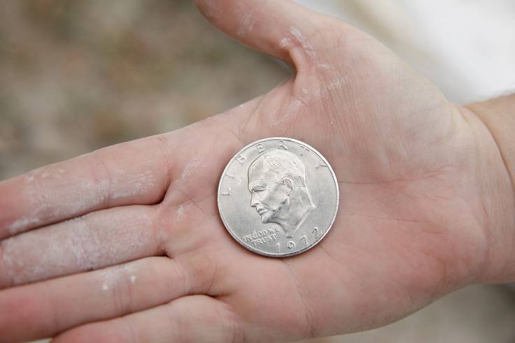 A hand holding a silver dollar