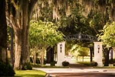 An entryway sign at Rollins College surrounded by oak trees.