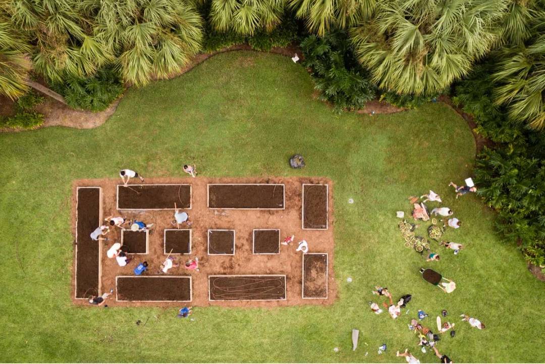 An aerial view of students working in the Elizabeth Hall garden.