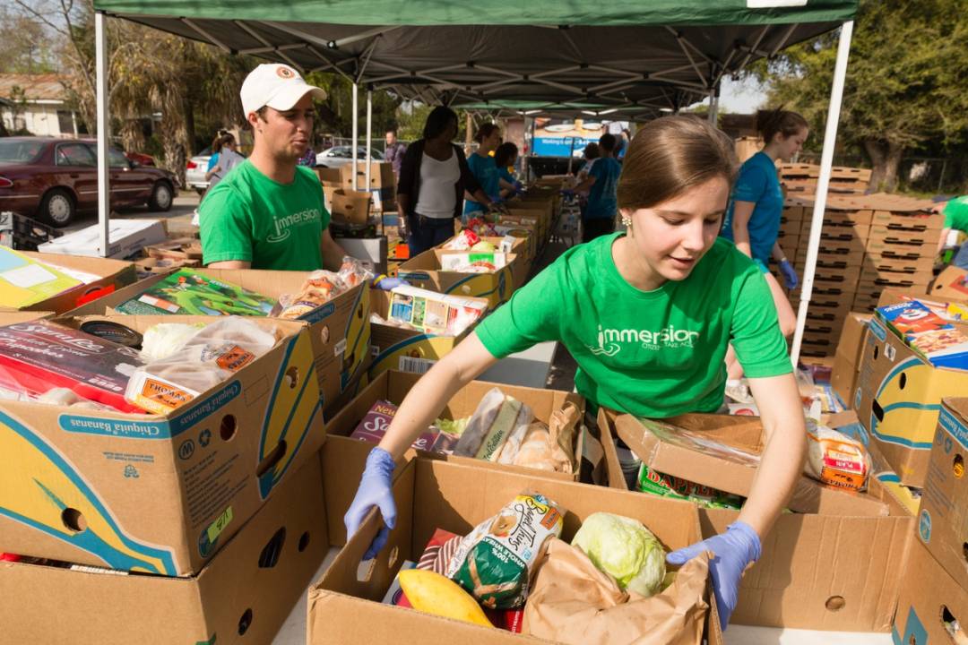 students volunteering to collect and sort food for those experiencing hunger