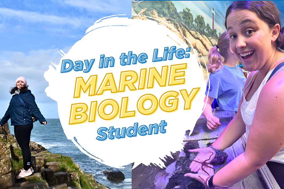 Day in the Life graphic for marine biology student