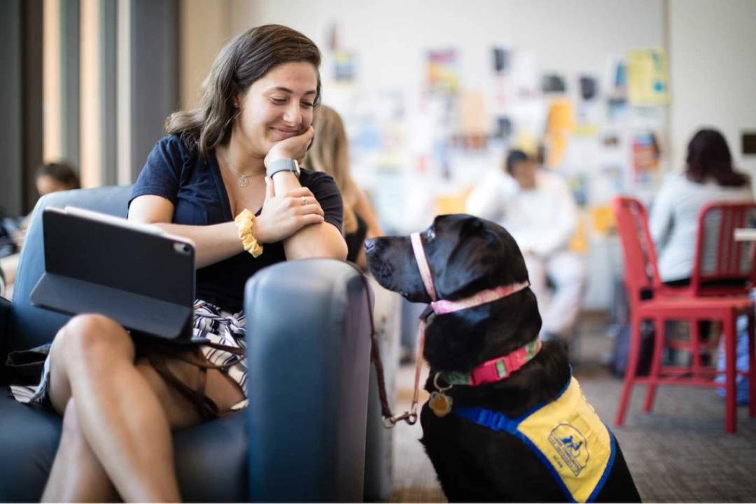 A student and a service dog.