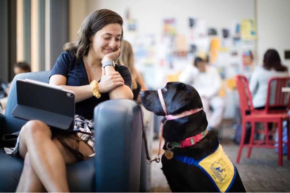 Marissa Cobuzio ’19 alongside the service dog she raised, a black-lab-golden-retriever mix named Ari, for Canine Companions for Independence