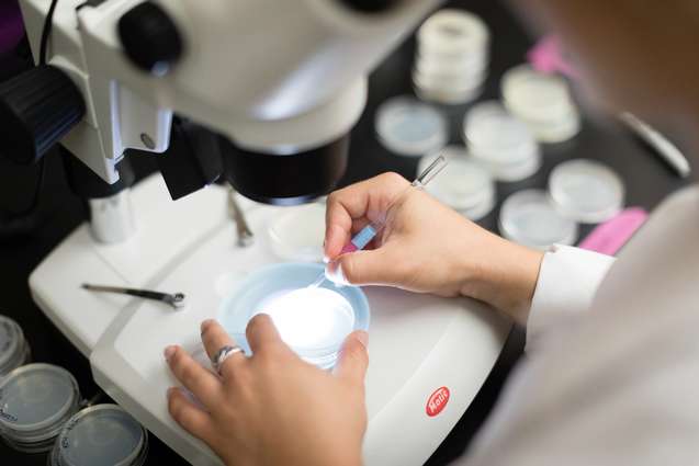 A biology college student looking at samples in a petri dish.