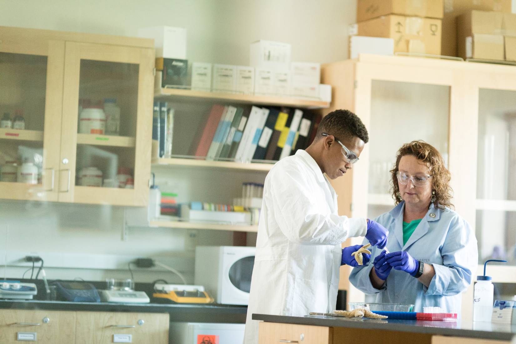 A marine biology student and professor conduct research on starfishes.