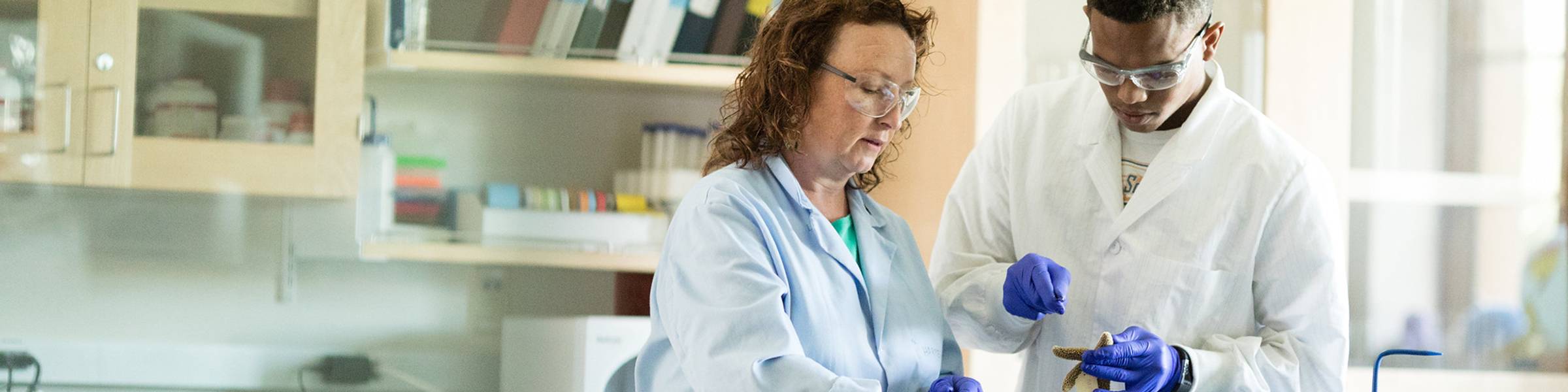 Student-faculty marine biology lab research on sea stars.