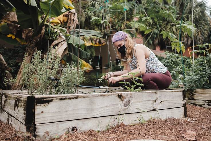 Student masked up planting in the organic garden on campus during an Immersion experience.
